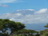 View from the tent
