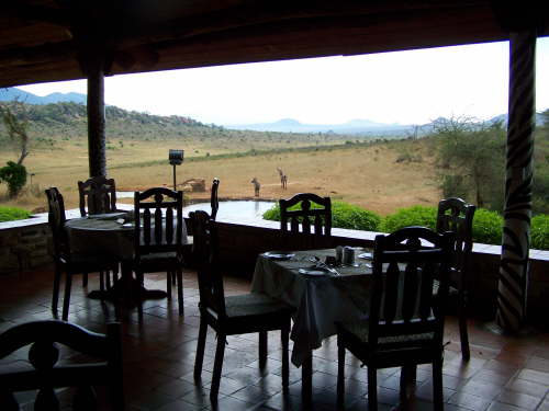 restaurant