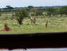View whilst eating lunch!