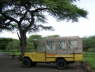 Severin Safari Camp