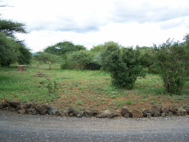 Severin Safari Camp