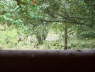 View from the tent