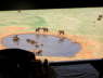 Voi Safari Lodge