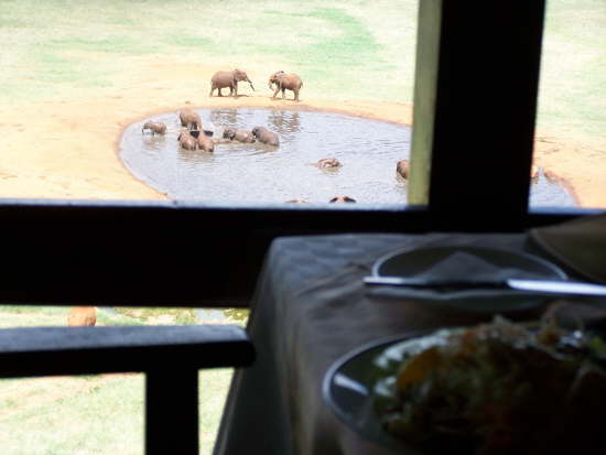 Voi Safari Lodge