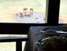 Voi Safari Lodge