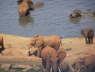 Voi Safari Lodge