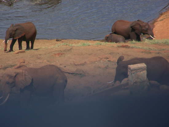 Voi Safari Lodge