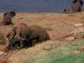 Voi Safari Lodge