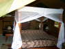 Flamingo Hill Camp