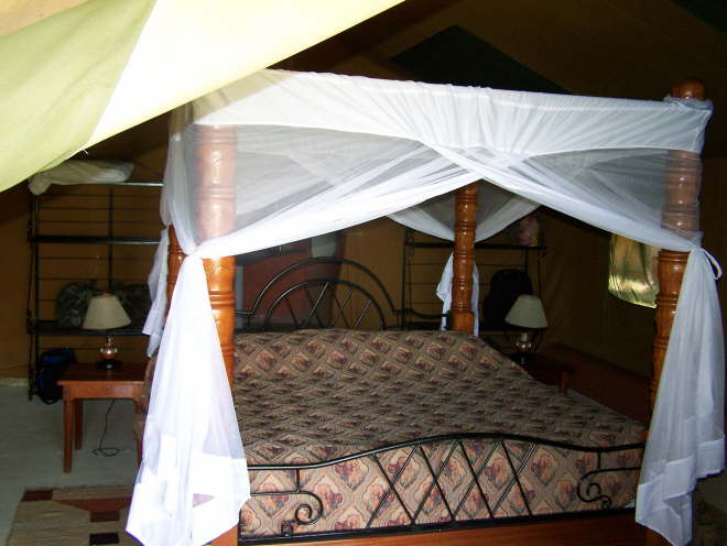 Flamingo Hill Camp