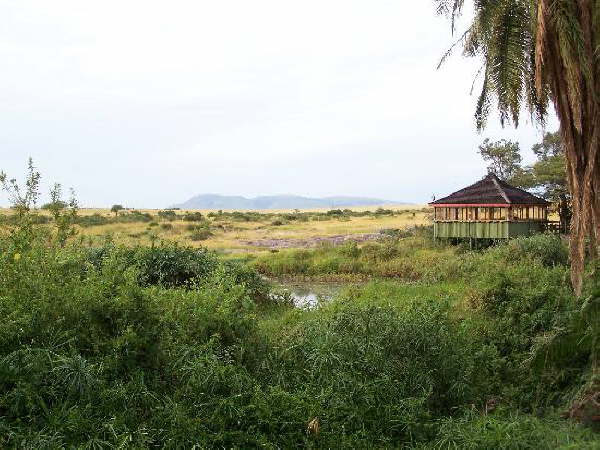 Keekorok hippo bar