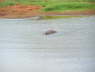 Voi Wildlife Lodge