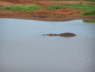 Voi Wildlife Lodge