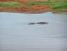 Voi Wildlife Lodge