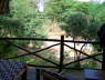 Man Eaters Safari Camp