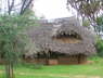 Galdessa