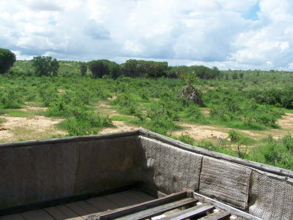 Galdessa