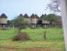 Salt Lick
