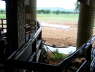 Salt Lick