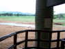 Salt Lick