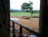 Salt Lick