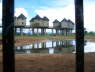 Salt Lick