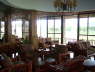 Salt Lick