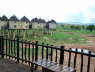 Salt Lick