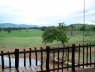 Salt Lick