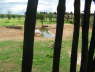 Salt Lick
