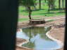 Salt Lick