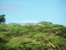 Kenya Dec 2009 239