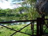 Kenya Dec 2009 254