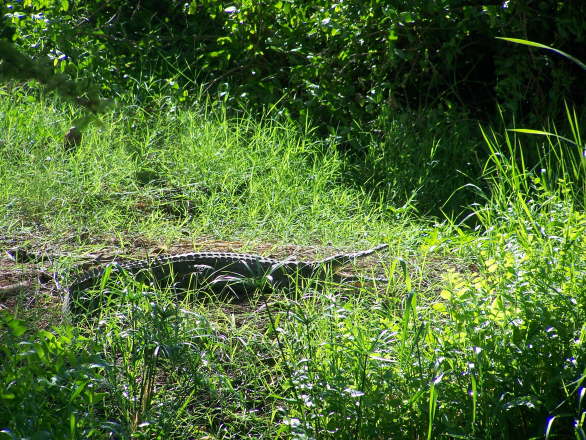 Kenya Dec 2009 275