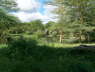 Kenya Dec 2009 277