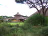 Kilima