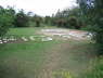 Fig Tree Camp