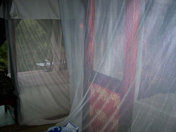 Fig Tree Camp