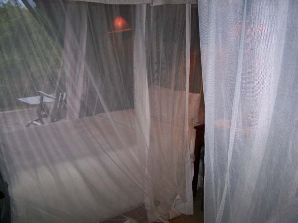 Fig Tree Camp