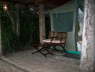 Fig Tree Camp