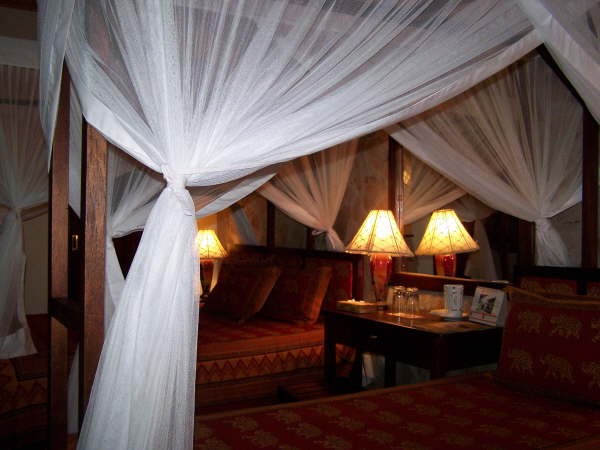 Fig Tree Camp