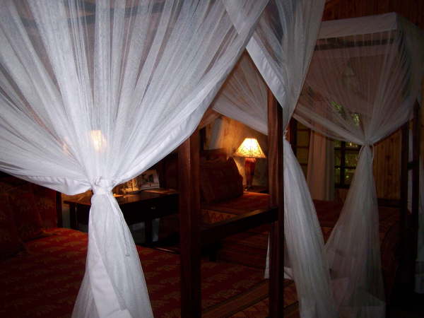 Fig Tree Camp