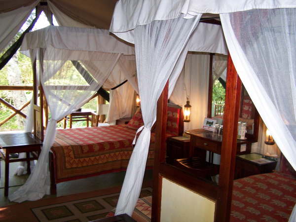 Fig Tree Camp