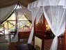 Fig Tree Camp