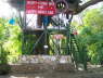 Fig Tree Camp
