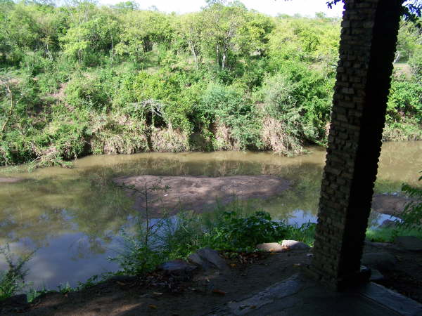 Fig Tree Camp