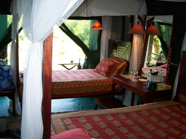 Fig Tree Camp