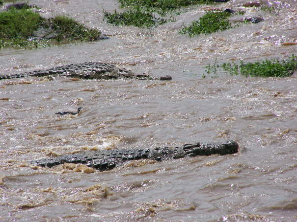 Kenya Dec 2009 891