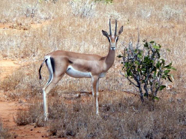 P1020007