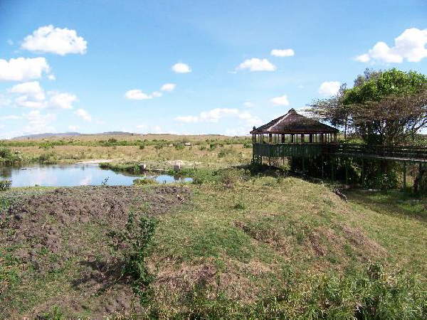 Keekorok hippo pool